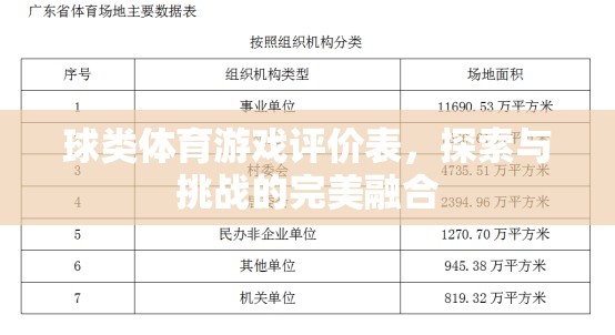 探索與挑戰(zhàn)，球類體育游戲的完美融合評價