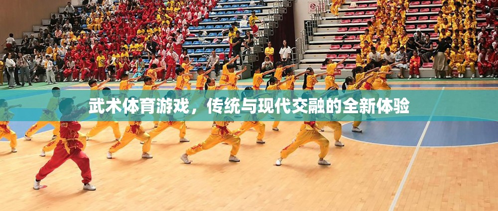 傳統(tǒng)與現(xiàn)代交融，武術(shù)體育游戲的全新體驗(yàn)