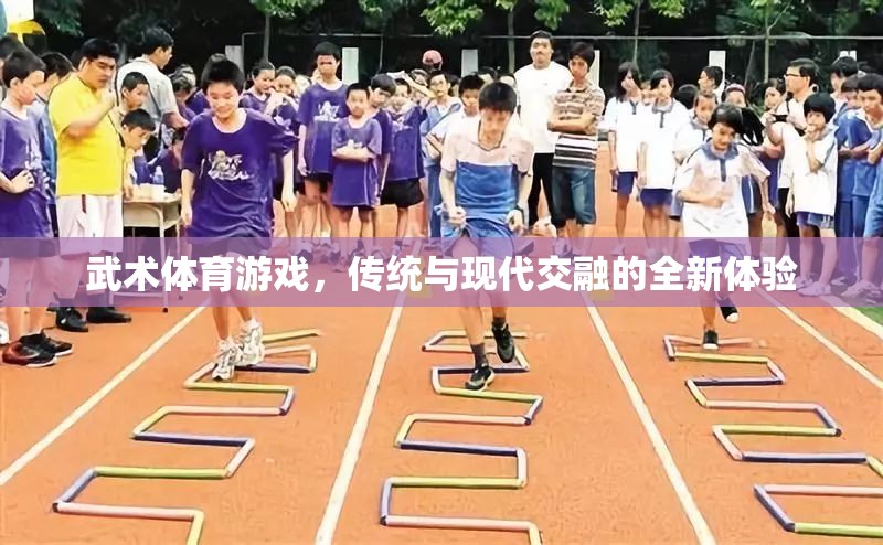 傳統(tǒng)與現(xiàn)代交融，武術(shù)體育游戲的全新體驗(yàn)