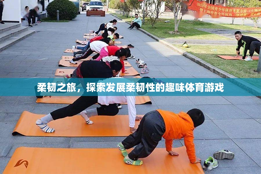 柔韌之旅，探索發(fā)展柔韌性的趣味體育游戲  第1張