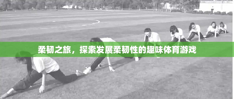 柔韌之旅，探索發(fā)展柔韌性的趣味體育游戲  第3張