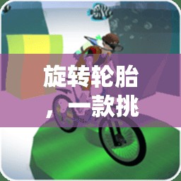 挑戰(zhàn)極限，旋轉(zhuǎn)輪胎體育游戲教案