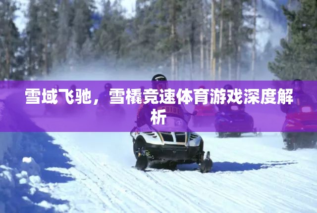 雪域飛馳，深度解析雪橇競(jìng)速體育游戲的魅力與挑戰(zhàn)