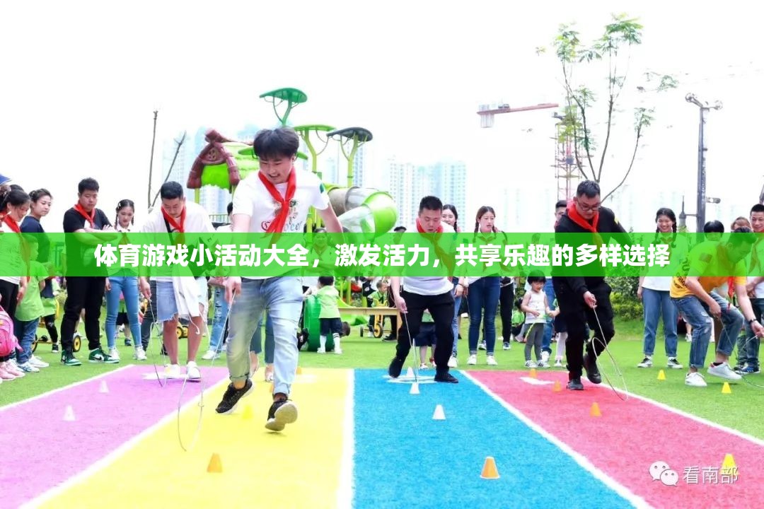 活力四射，體育游戲小活動(dòng)大全，共享歡樂(lè)的多樣選擇
