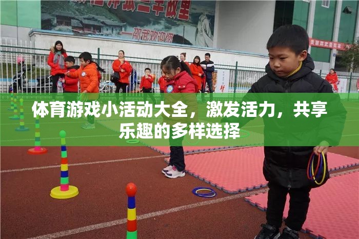 活力四射，體育游戲小活動(dòng)大全，共享歡樂(lè)的多樣選擇