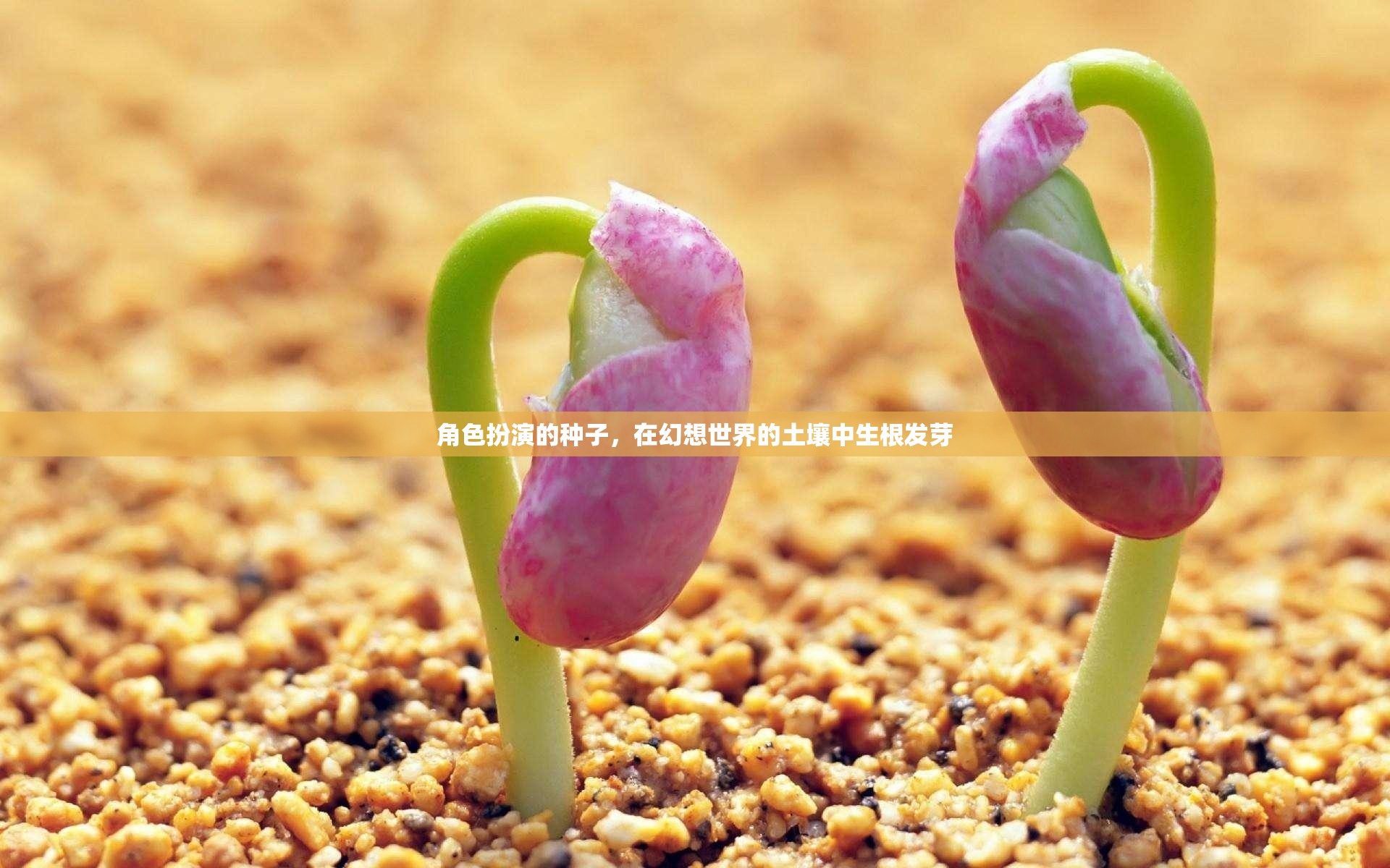 幻想之土，角色扮演的種子生根發(fā)芽