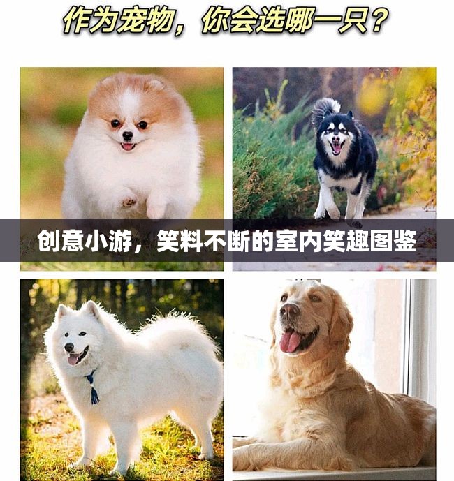笑料滿滿的創(chuàng)意小游，室內(nèi)笑趣圖鑒  第1張