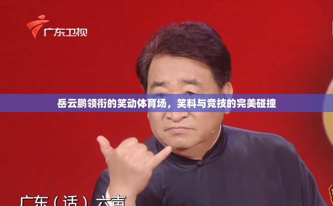笑動體育場，岳云鵬領(lǐng)銜的競技與笑料盛宴