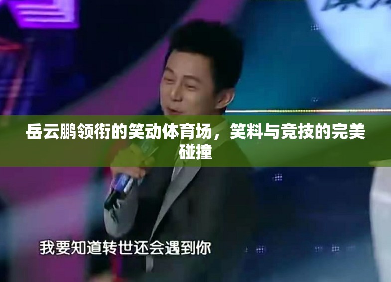 笑動體育場，岳云鵬領(lǐng)銜的競技與笑料盛宴