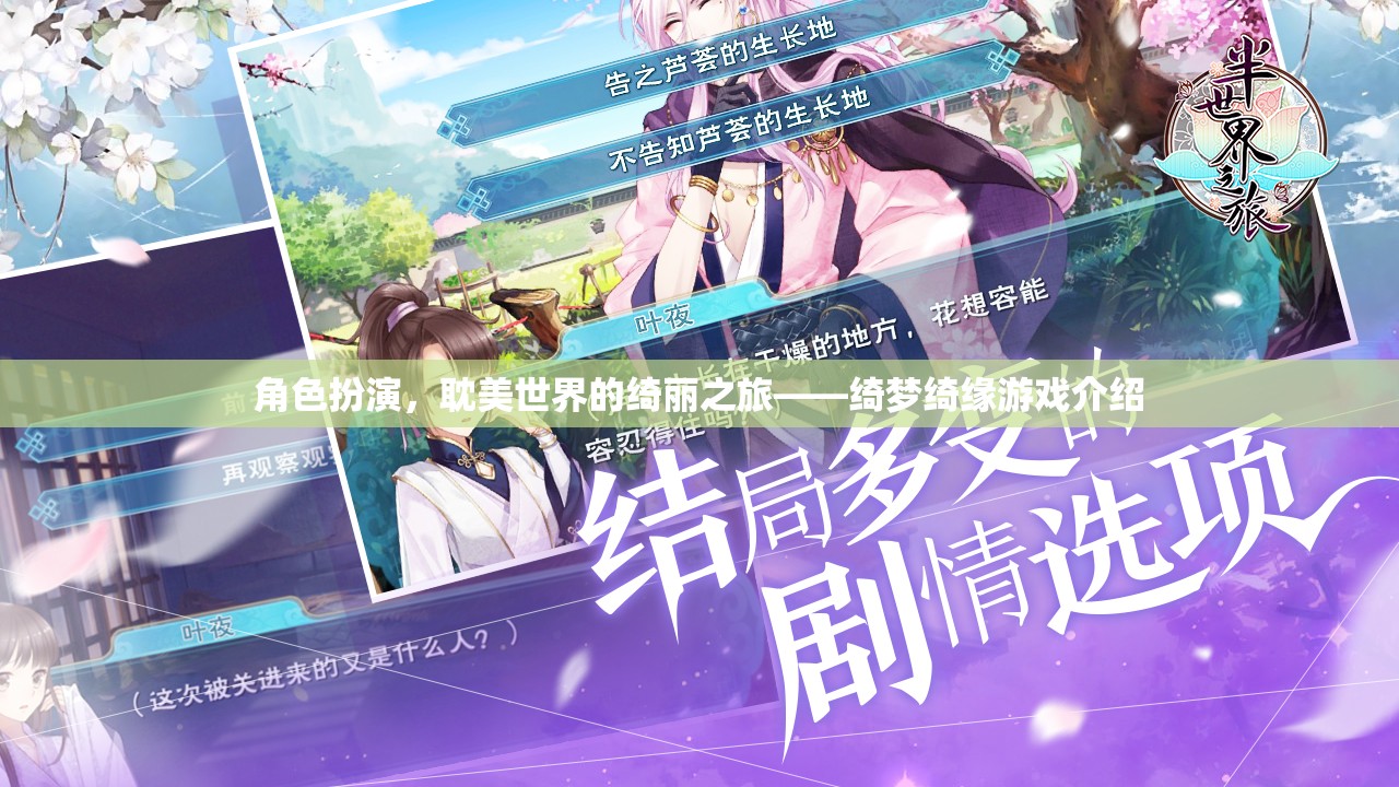 綺夢綺緣，耽美世界的角色扮演之旅