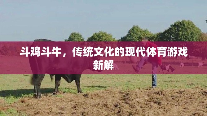 傳統(tǒng)文化的現(xiàn)代演繹，斗雞斗牛的體育新解