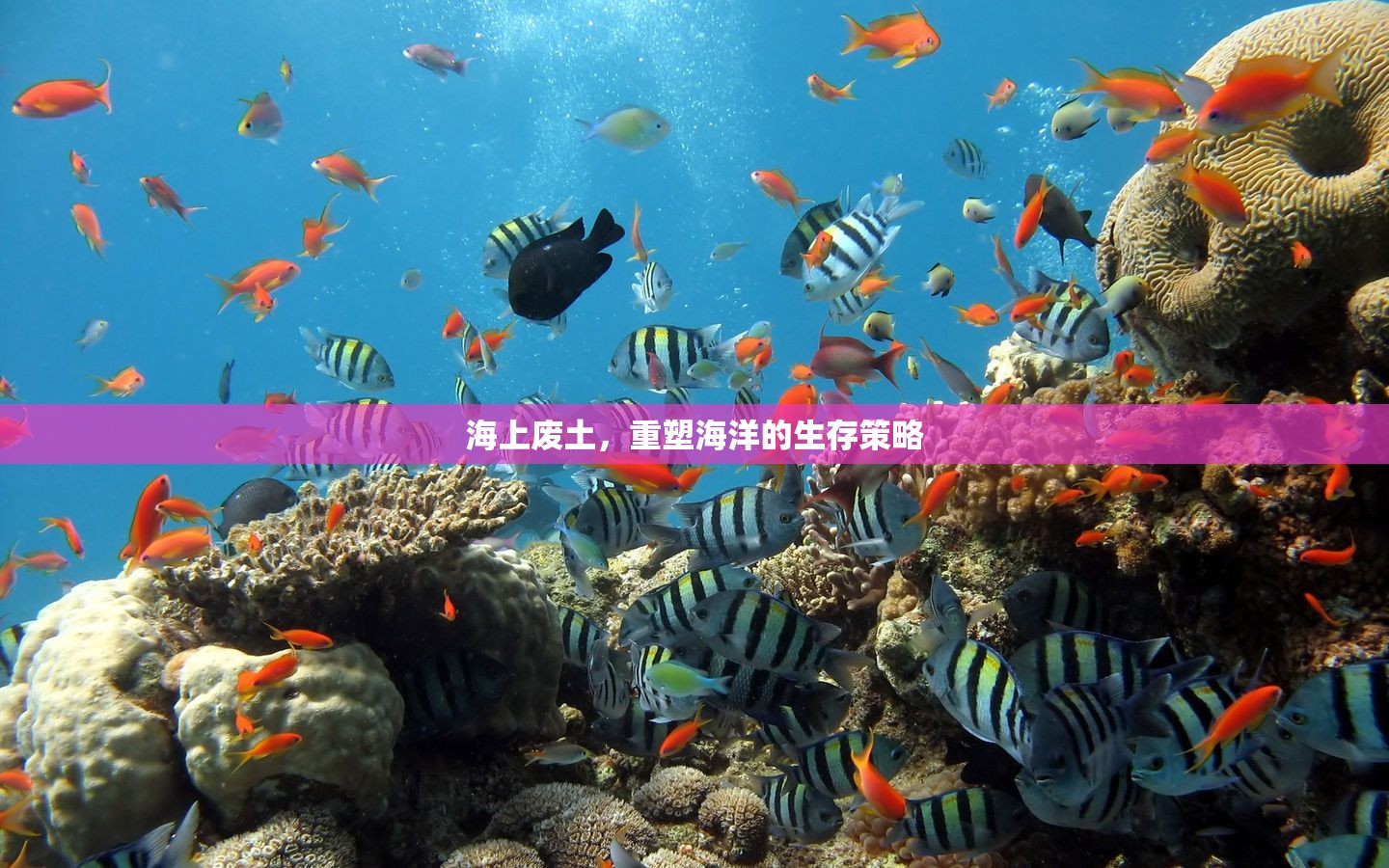 海上廢土，重塑海洋的生存策略