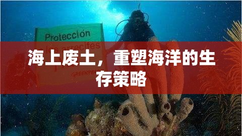 海上廢土，重塑海洋的生存策略