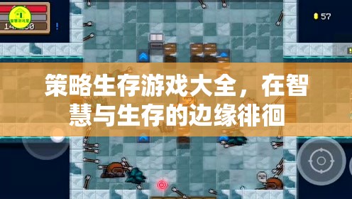 智慧與生存的邊緣，策略生存游戲大全