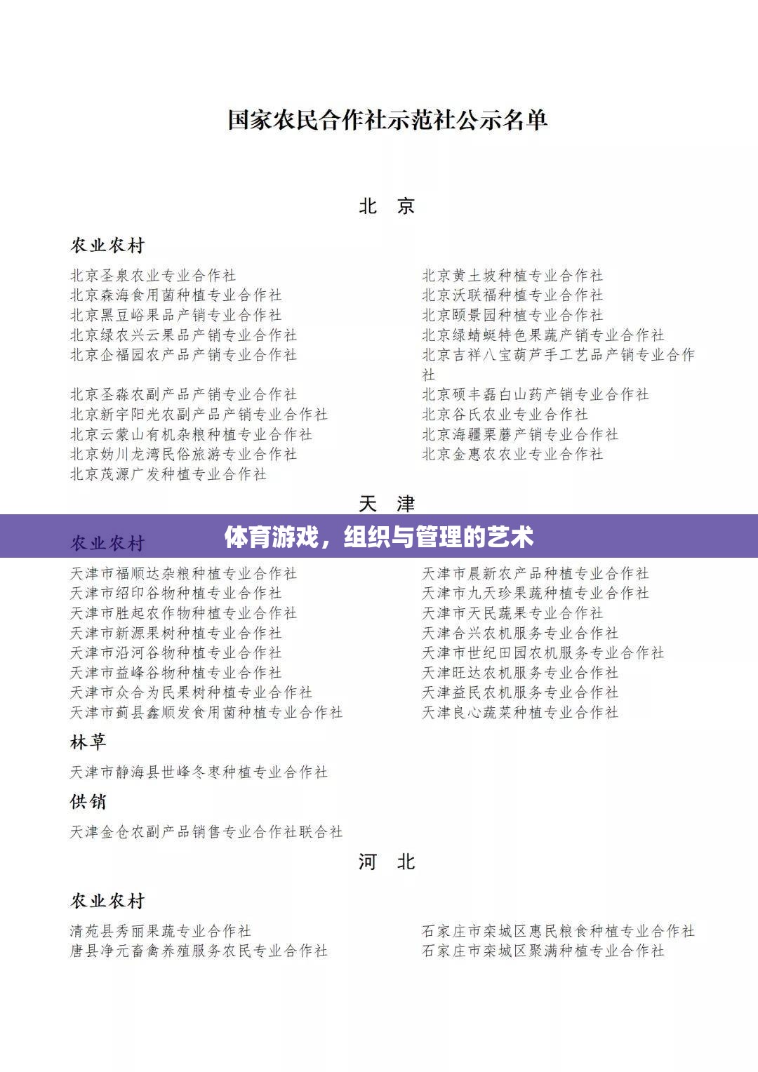 體育游戲，組織與管理的藝術(shù)