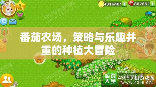 番茄農(nóng)場(chǎng)，策略與樂(lè)趣交織的種植大冒險(xiǎn)