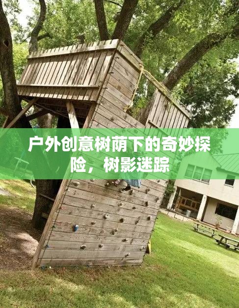 樹蔭下的奇妙探險，戶外創(chuàng)意的樹影迷蹤之旅
