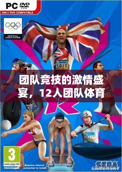 12人團隊體育游戲，激情盛宴的熱血球場下載指南