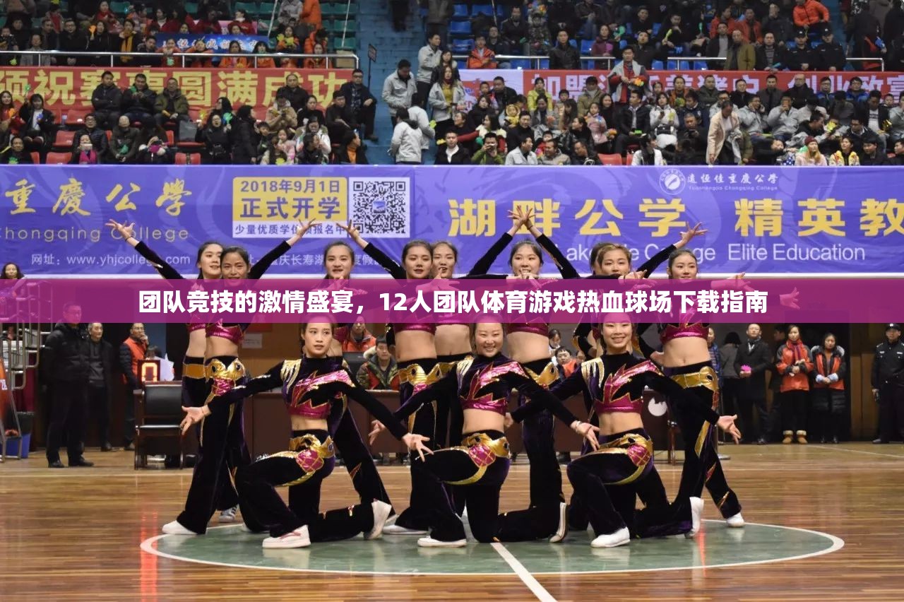 12人團隊體育游戲，激情盛宴的熱血球場下載指南
