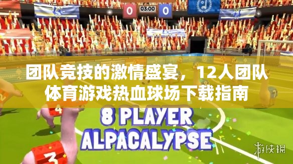12人團隊體育游戲，激情盛宴的熱血球場下載指南