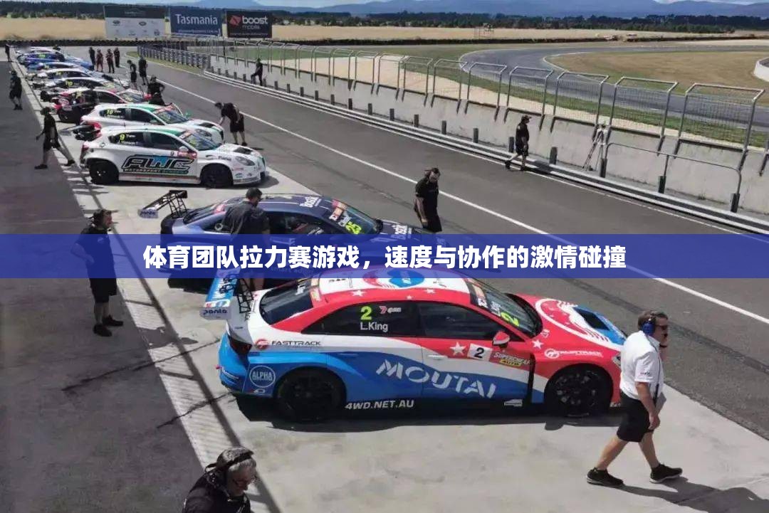 速度與協(xié)作的激情碰撞，體育團隊拉力賽游戲