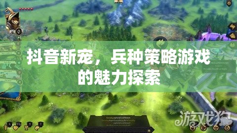 抖音新寵，兵種策略游戲的魅力探索