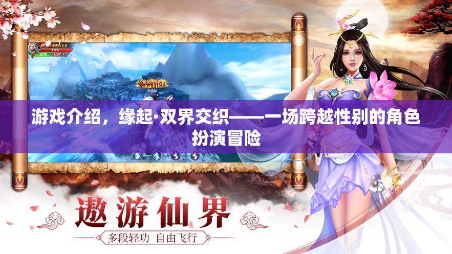 游戲介紹，緣起·雙界交織——一場(chǎng)跨越性別的角色扮演冒險(xiǎn)