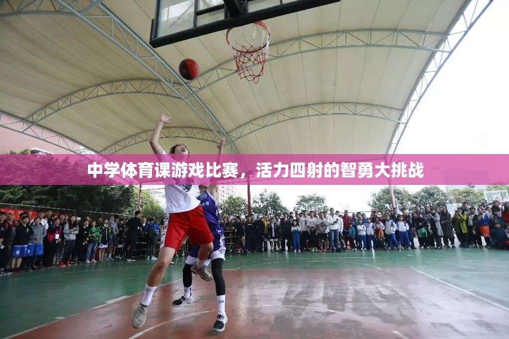 智勇大挑戰(zhàn)，中學(xué)體育課的活力四射游戲比賽