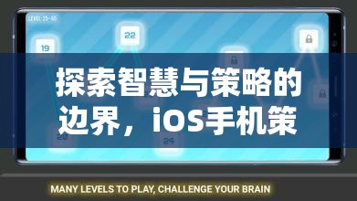 探索智慧與策略的邊界，iOS手機策略單機游戲深度解析