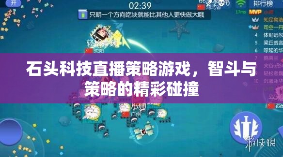 石頭科技直播，智斗與策略的精彩碰撞