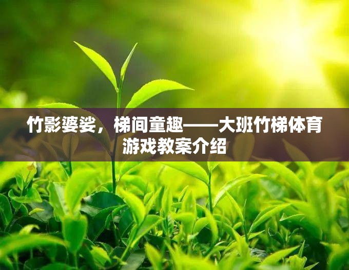 竹影童趣，大班竹梯體育游戲創(chuàng)意教案  第2張