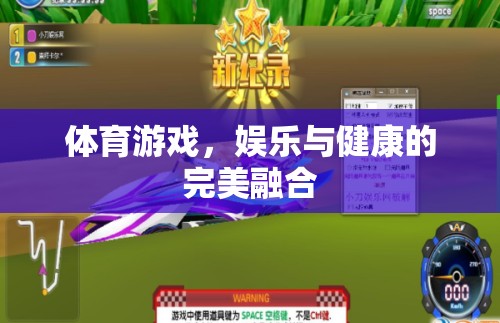 體育游戲，娛樂(lè)與健康的完美融合