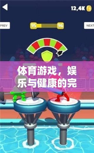 體育游戲，娛樂(lè)與健康的完美融合