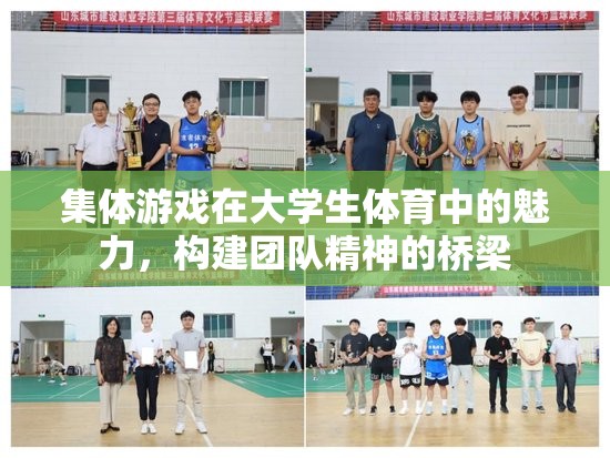 集體游戲，大學(xué)生體育中的團(tuán)隊(duì)精神構(gòu)建橋梁