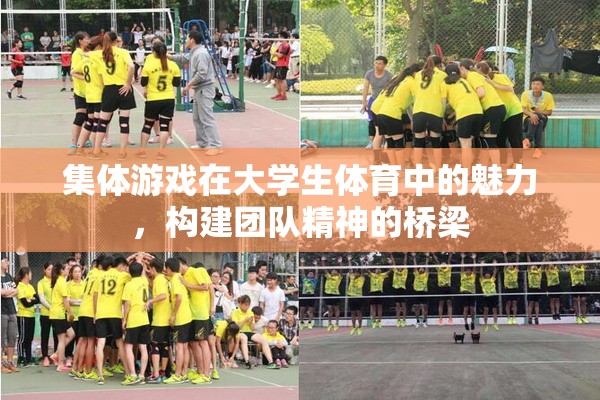 集體游戲，大學(xué)生體育中的團(tuán)隊(duì)精神構(gòu)建橋梁