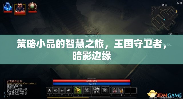 策略小品的智慧之旅，王國(guó)守衛(wèi)者與暗影邊緣的較量