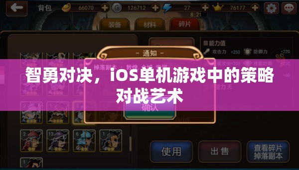 智勇對(duì)決，iOS單機(jī)游戲中的策略對(duì)戰(zhàn)藝術(shù)