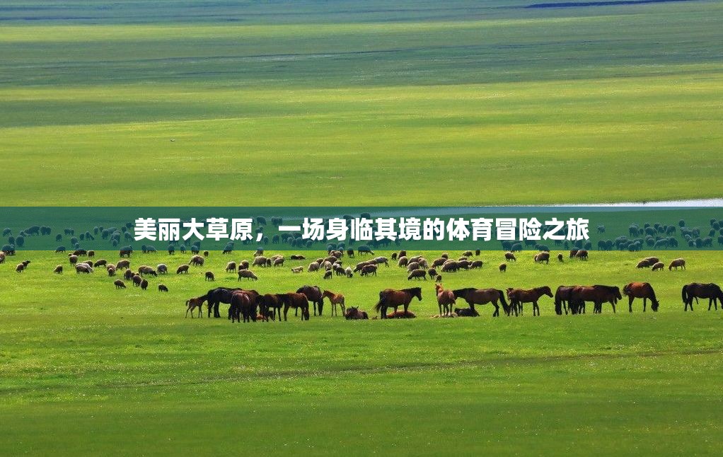 身臨其境的體育冒險，美麗大草原的震撼之旅