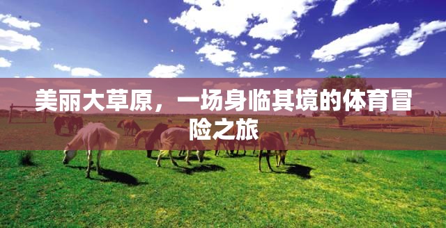 身臨其境的體育冒險，美麗大草原的震撼之旅