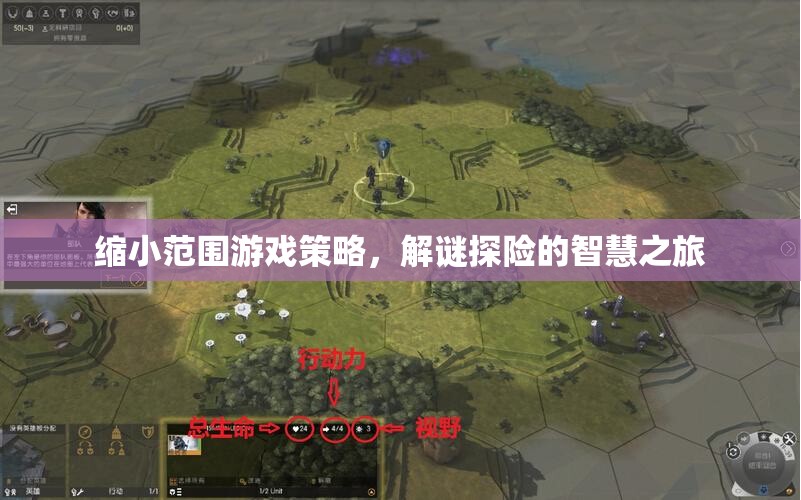 縮小范圍游戲策略，解謎探險的智慧之旅