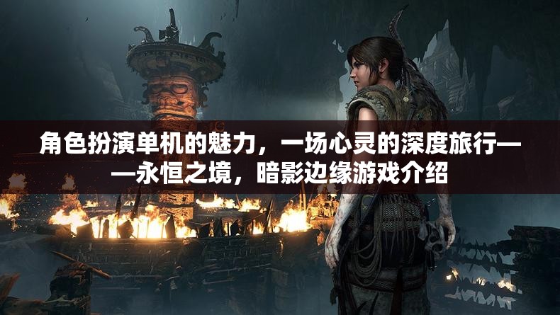 暗影邊緣，永恒之境——一場心靈深度的角色扮演單機游戲之旅