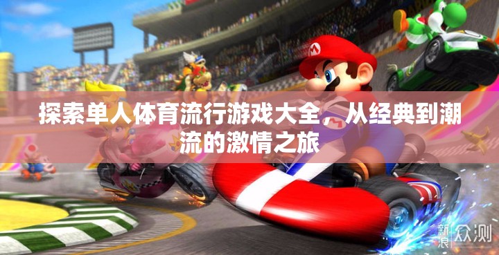 單人體育流行游戲大全，從經(jīng)典到潮流的激情探索之旅