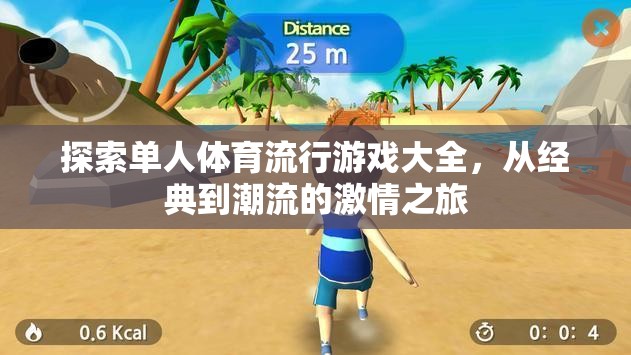 單人體育流行游戲大全，從經(jīng)典到潮流的激情探索之旅