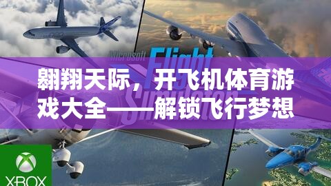 解鎖飛行夢想，翱翔天際的飛機體育游戲大全
