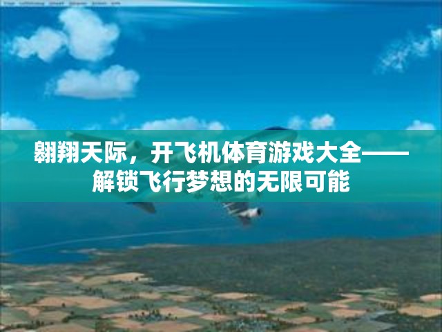 解鎖飛行夢想，翱翔天際的飛機體育游戲大全
