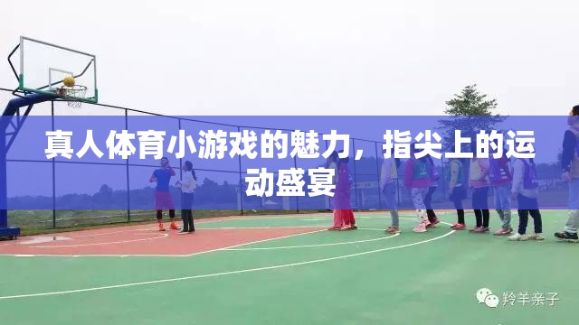 指尖上的運(yùn)動(dòng)盛宴，探索真人體育小游戲的魅力