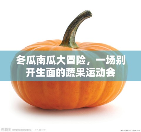 蔬果運(yùn)動(dòng)會(huì)，冬瓜南瓜的別開生面大冒險(xiǎn)