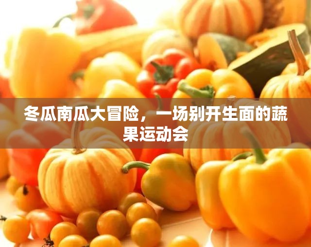 蔬果運(yùn)動(dòng)會(huì)，冬瓜南瓜的別開生面大冒險(xiǎn)