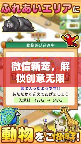 微信新寵，解鎖奇思妙想樂園的創(chuàng)意無限微妙樂趣