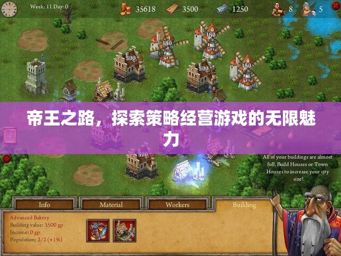 帝王之路，解鎖策略經(jīng)營(yíng)游戲的無限魅力